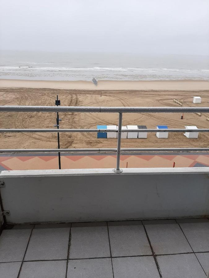 Studionusi * Blankenberge